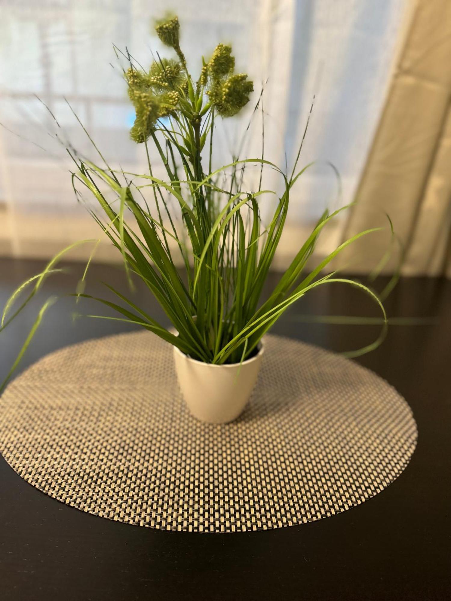 M&Bluxux Apartaments Krefeld Zewnętrze zdjęcie